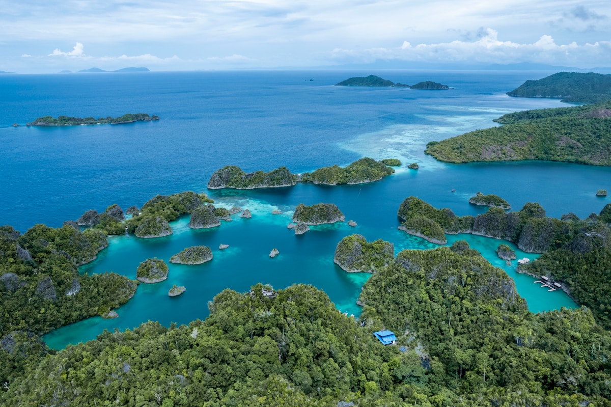 Aerial view of a green island surrounded by open ocean in eastern Indonesia